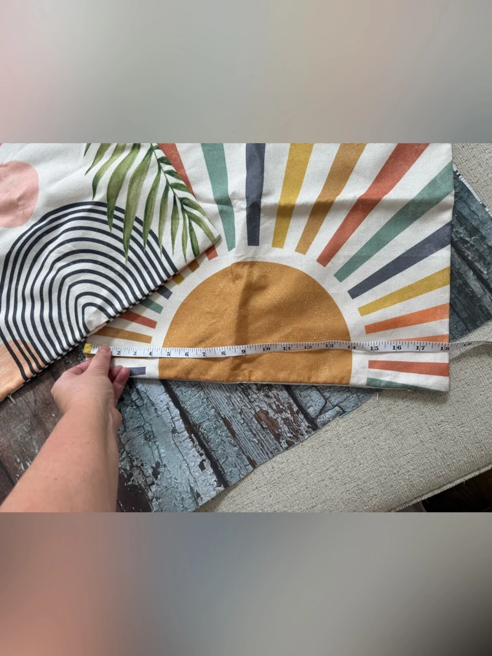 Two decorative pillow cases
